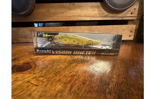 Megabass Vision 110 Jerkbaits